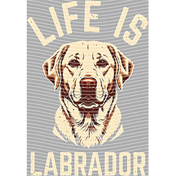 Animal Text Series-AT 3587